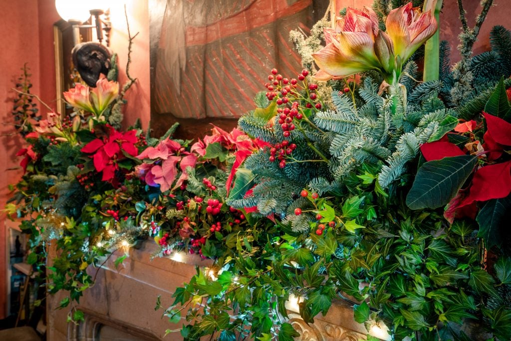 Christmas Garden Flower Displays