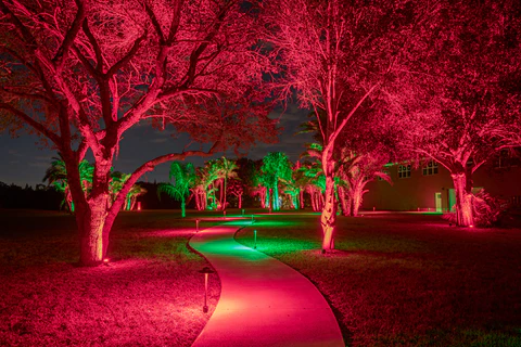 Christmas Garden Lighting Ideas