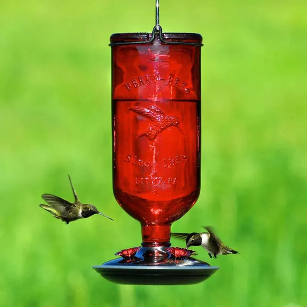 Classic Glass Bottle Feeders