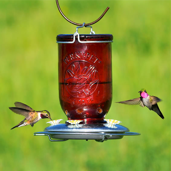 Classic Saucer Hummingbird Feeders