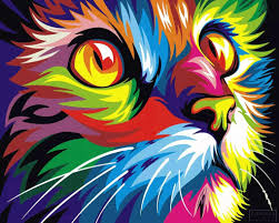 Colorful Cat Faces