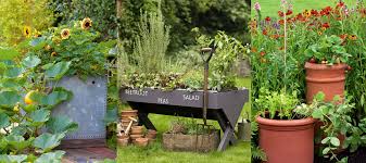 Creative Container Gardening with Gourmet Vegetables
