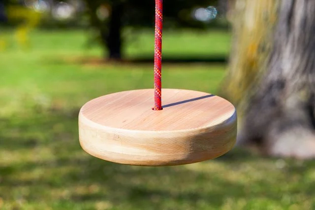 DIY Disk Swing