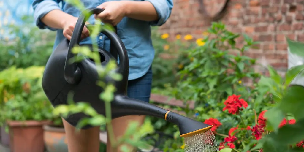 Garden Herb Stakes with Integrated Watering Systems