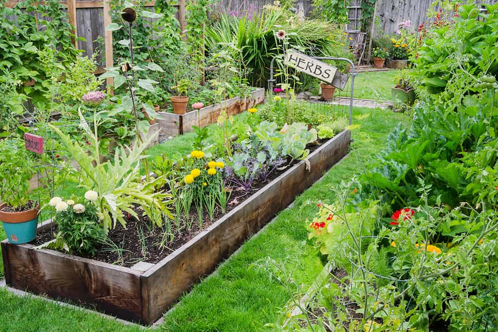 Herbs The Cornerstone of Edible Landscaping