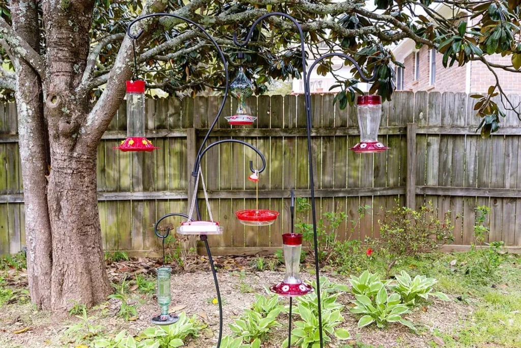 Hummingbird Feeders with Roofs