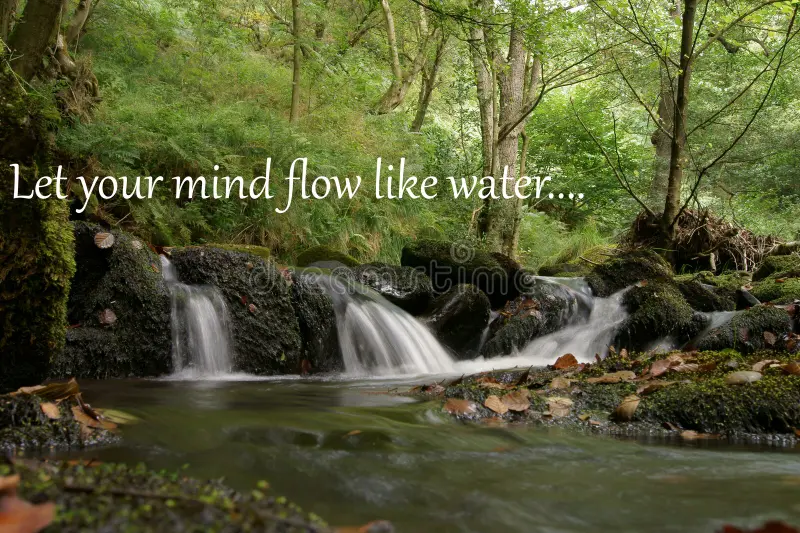 Inspirational Quotes in Moss