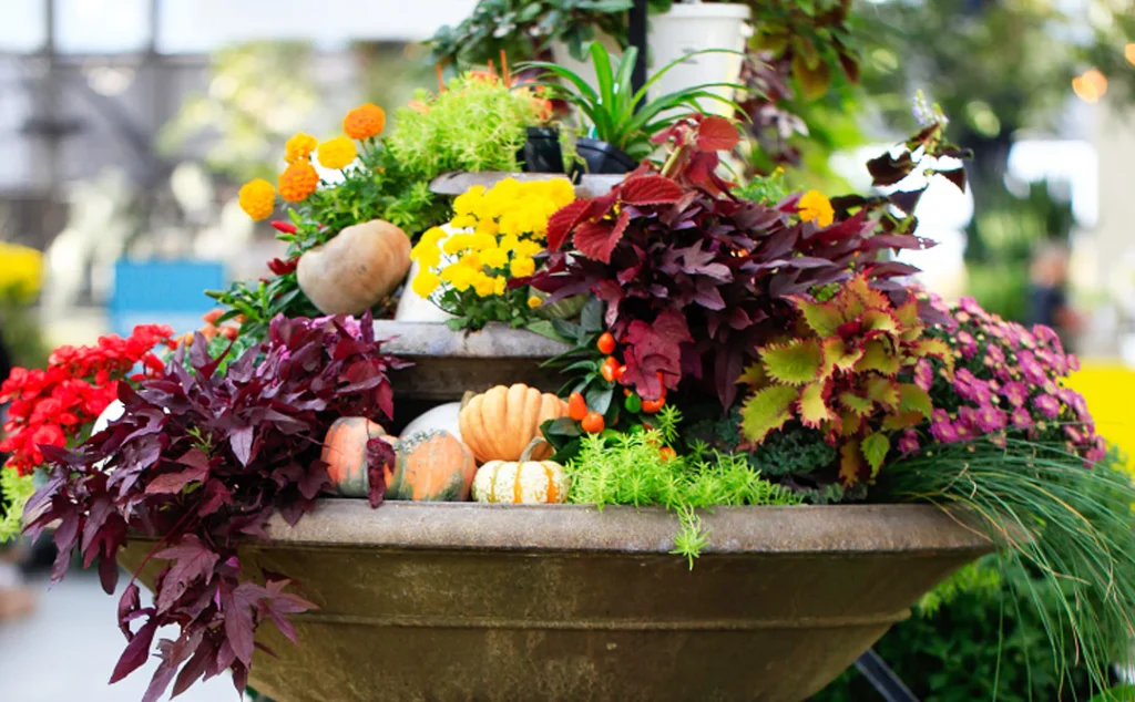 Inspiring Ideas for Container Gardening with Gourmet Vegetables