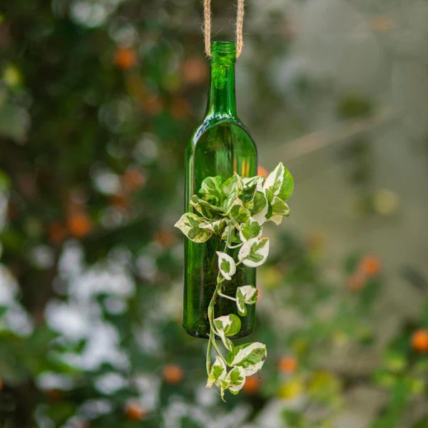Wine Bottles and Corks: Upcycled Planters with a Twist