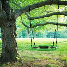 Low Hung Tree Swing