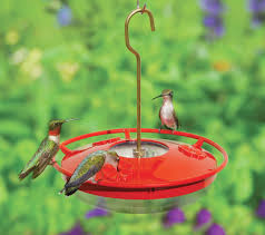 Mini Hummingbird Feeders