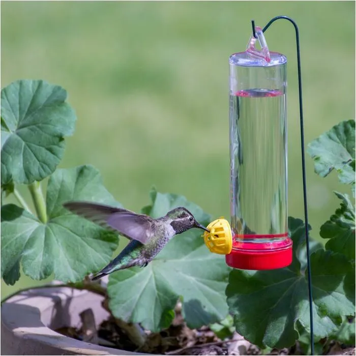 Mini Hummingbird Feeders