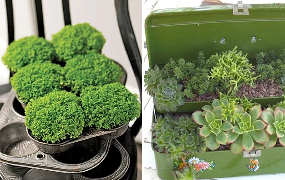 Mini Muffin Tin Garden Tiny Yet Charming