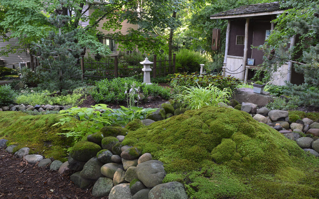 Moss Bed