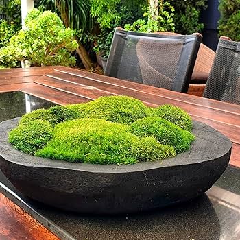 Checkerboard Moss Pattern