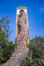Patriotic Waterfall Flower Tower