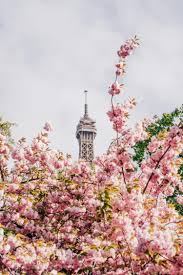 Pink and White Waterfall Flower Tower