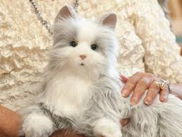 Robot Cat