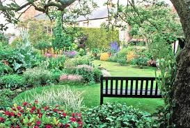 Setting Up Your Small Space Orchard Garden