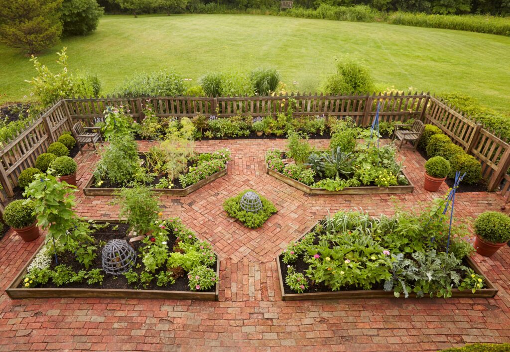 Small Space, Big Flavor—Gourmet Harvests at Home