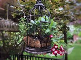 Succulent Birdcage A Vintage Look