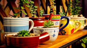 Succulent Coffee Mug Planter Casual Charm