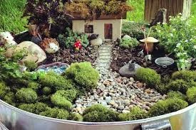 Succulent Miniature Garden Fairy Garden Vibes