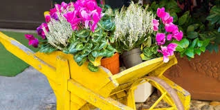 Succulent Wheelbarrow Rustic and Functional