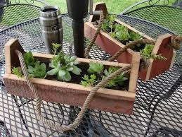 Succulent in a Toolbox Vintage Gardening