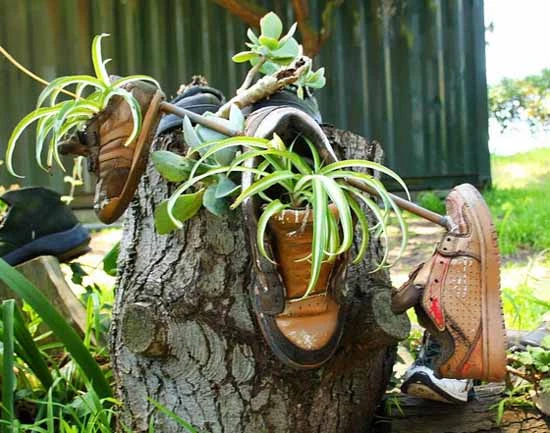 Succulent in a Vintage Shoe Quirky Planter Design