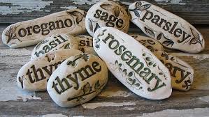 The Best Materials for Garden Herb Markers and Stakes