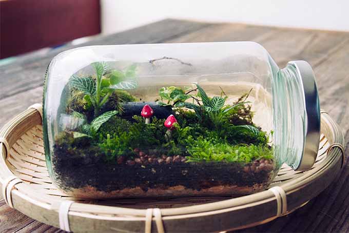 Under-Glass Mini