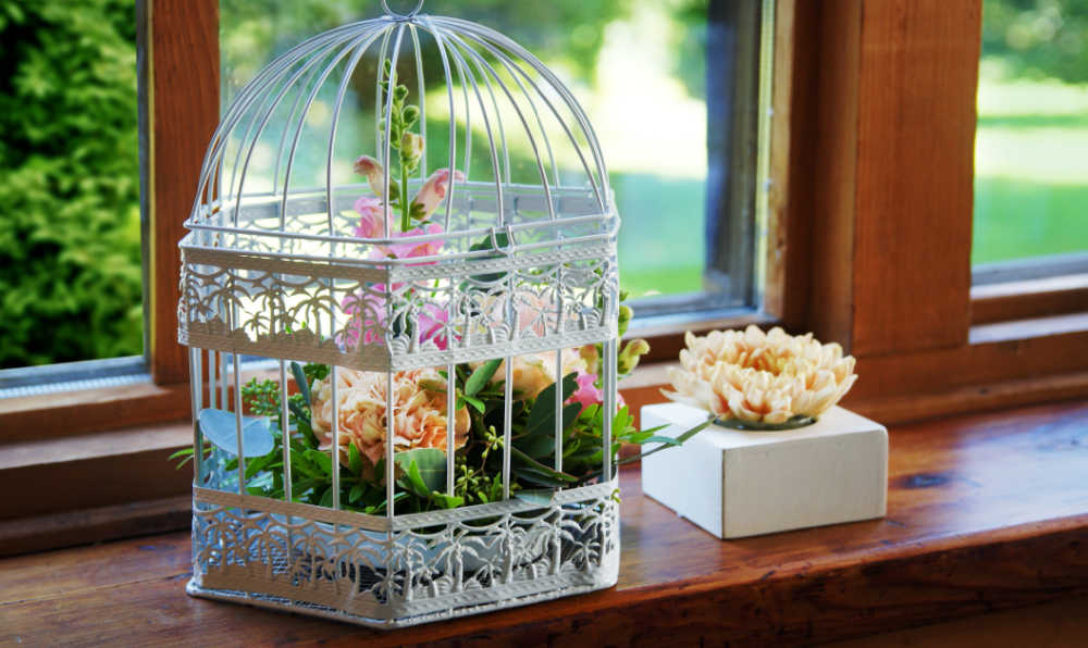 Upcycled Bird Cages as Planters