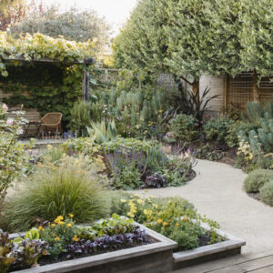 Urban Vegetable Garden Design The Beauty of Layout