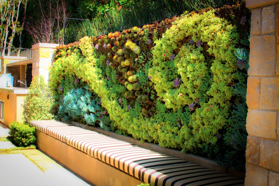 Vertical Gardens Make the Most of Small Spaces