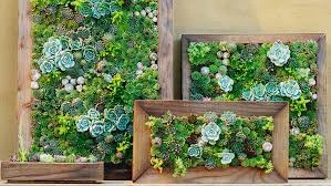 Vertical Succulent Planters Utilize Your Walls