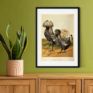 Vintage French Rooster Art