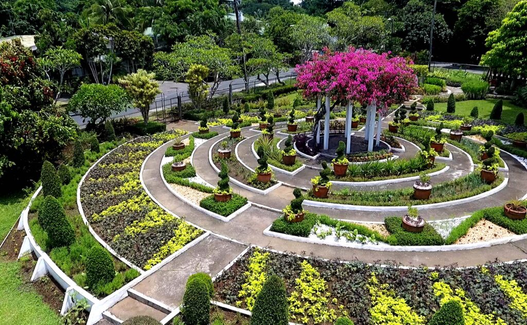Why Edible Landscaping Ideas Are Perfect for Urban Vegetable Gardens