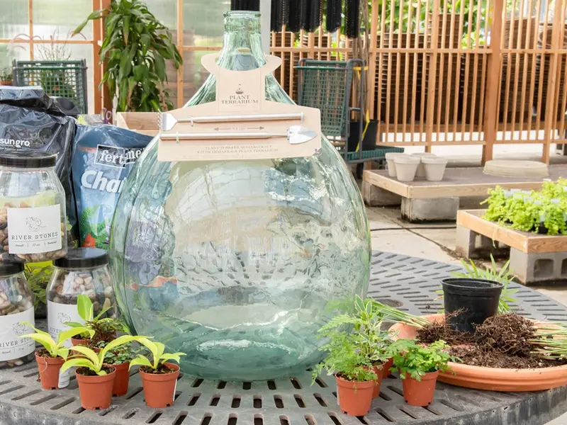 Why Glass Bottles Are Perfect for Outdoor DIY Projects