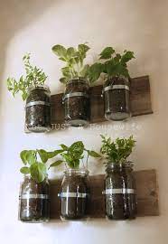Mason Jars as Flowerpots
