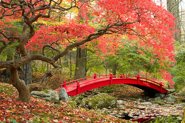 Red Bogart-Inspired Bridge