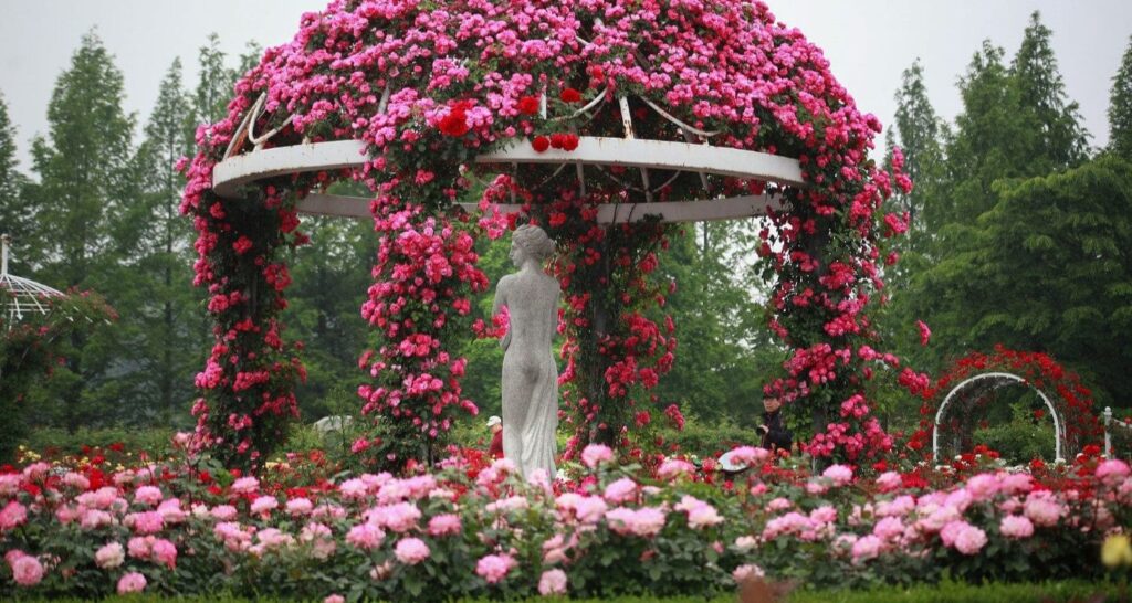  Classic Rose Beds