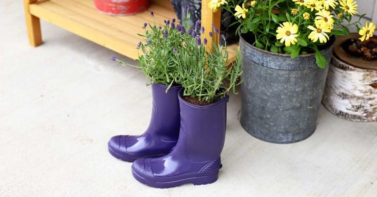 DIY Guide to Making Rain Boot Planters
