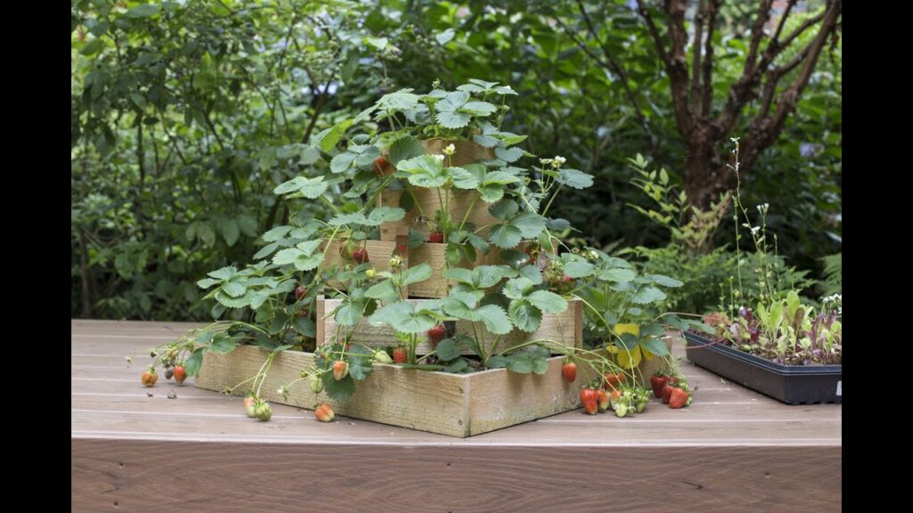 DIY Straw Bale Planter