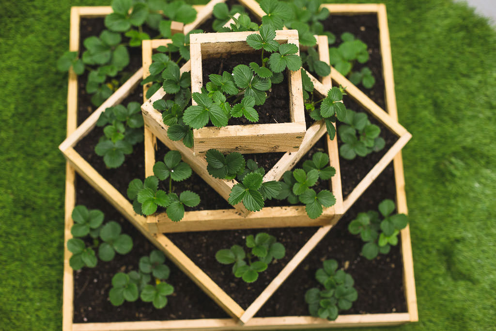 DIY Wooden Tiered Strawberry Planter