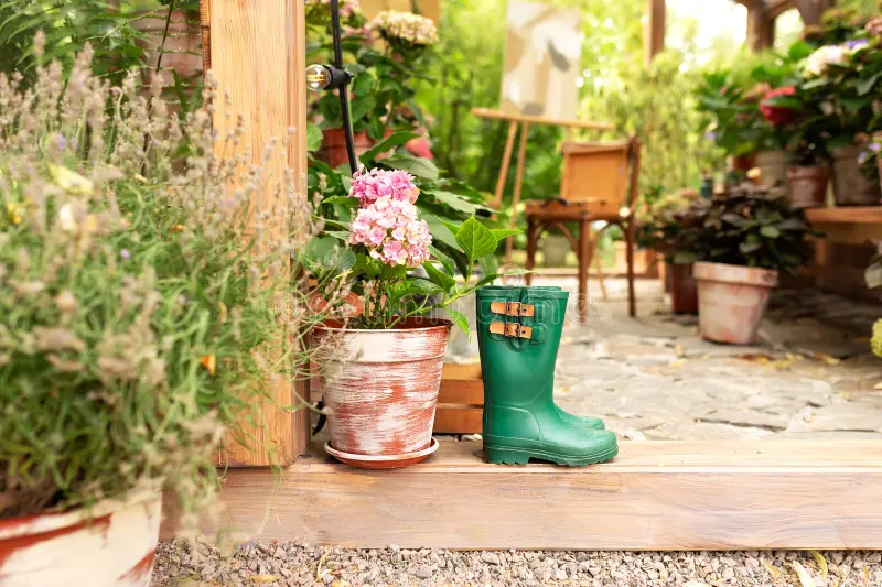 Flowering Shrubs in Rain Boots