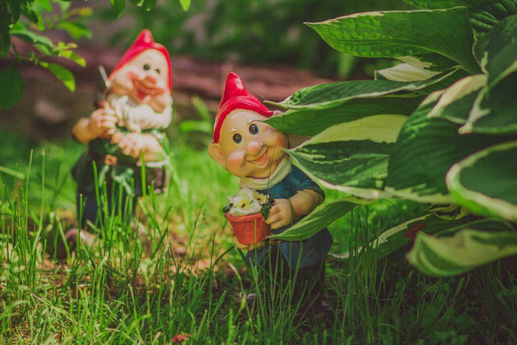 Gnome Watering Flowers