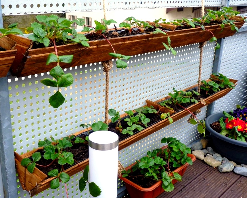 Hanging Fabric Planter