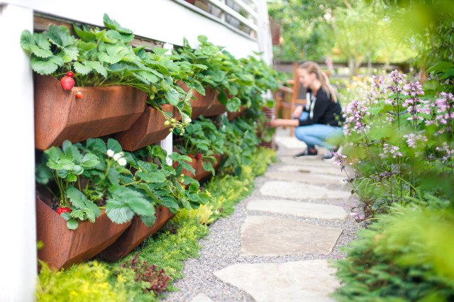 Hanging Gutter Planter