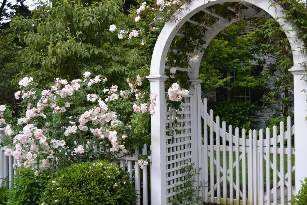 White Picket Fence with Arbor Gate